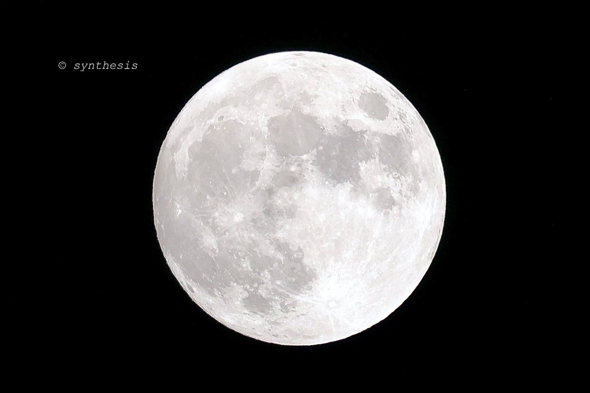 𝒔𝒚𝒏𝒕𝒉𝒆𝒔𝒊𝒔 tweet media