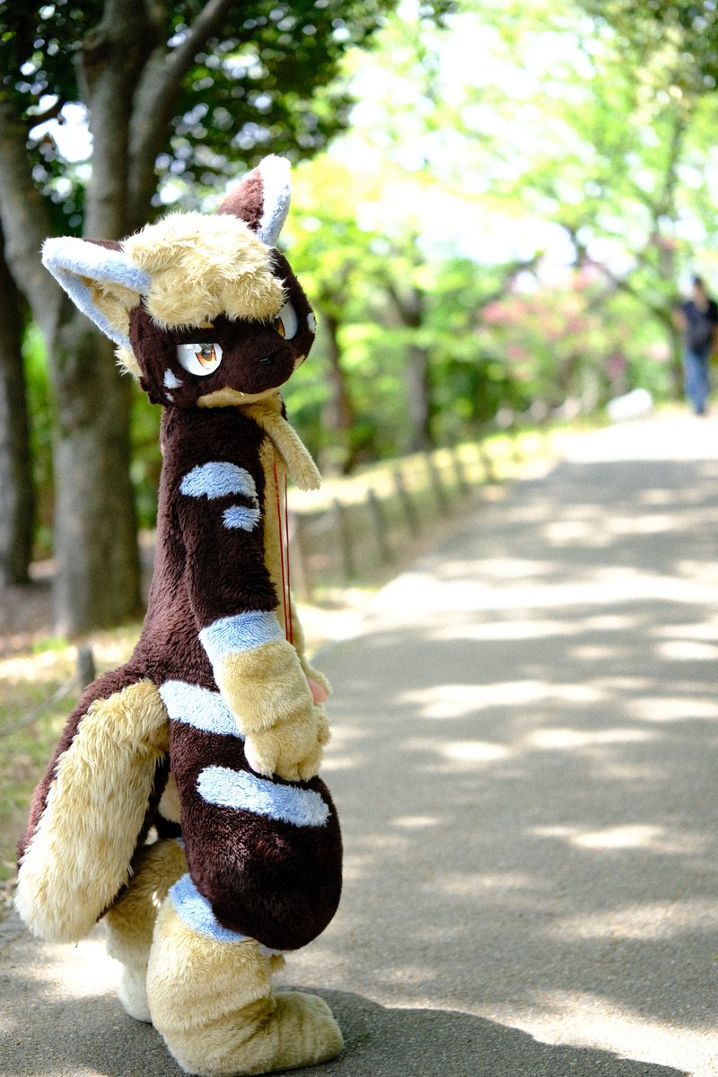 とらきち tweet media