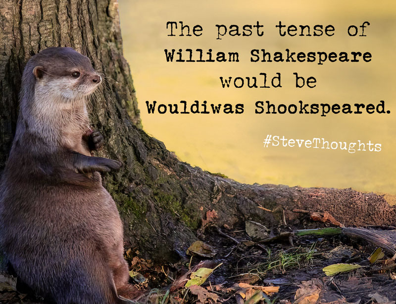 In Otter News.... tweet media