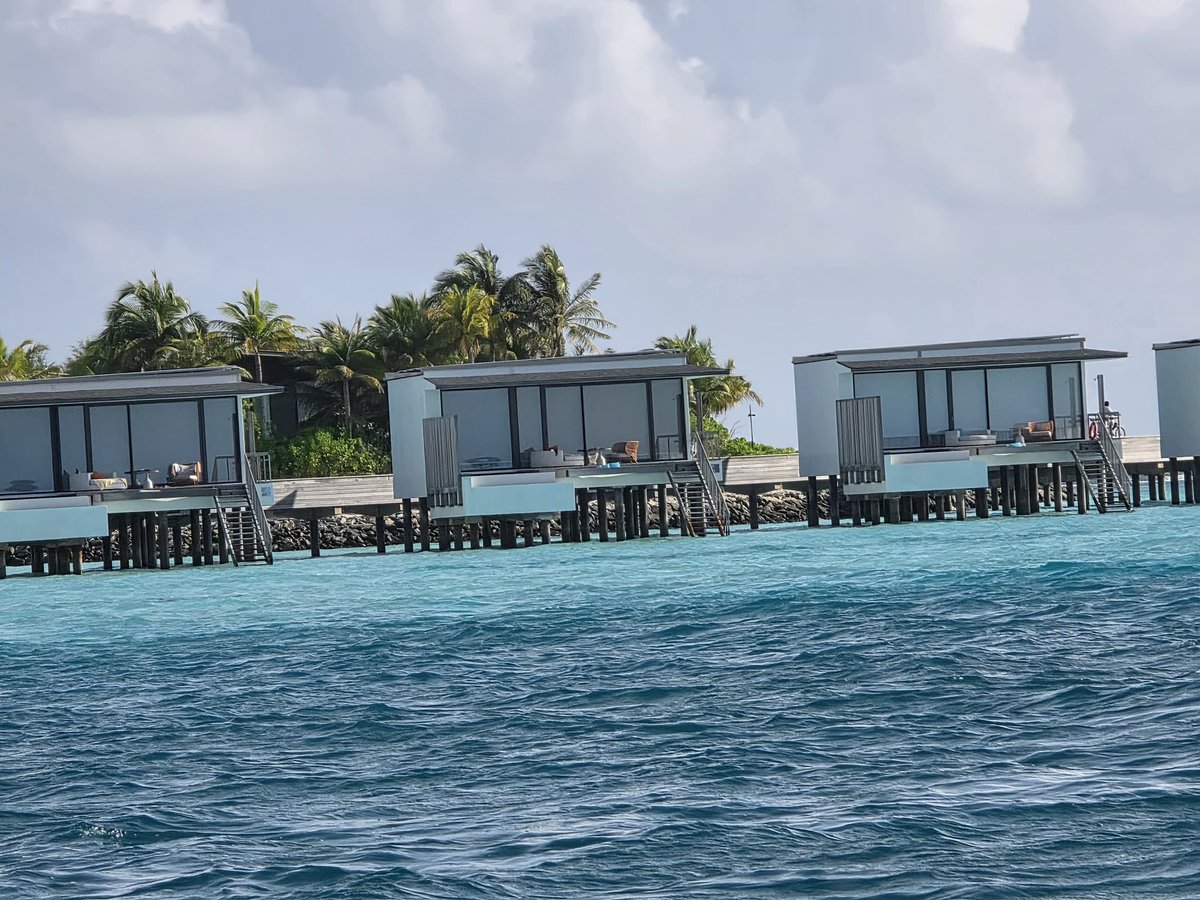 Yogi Sach tweet media