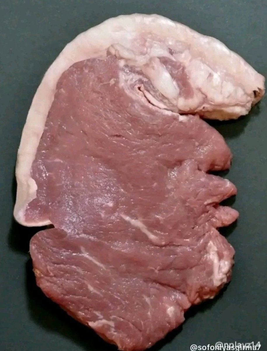 Nyaburi 🐝 tweet media