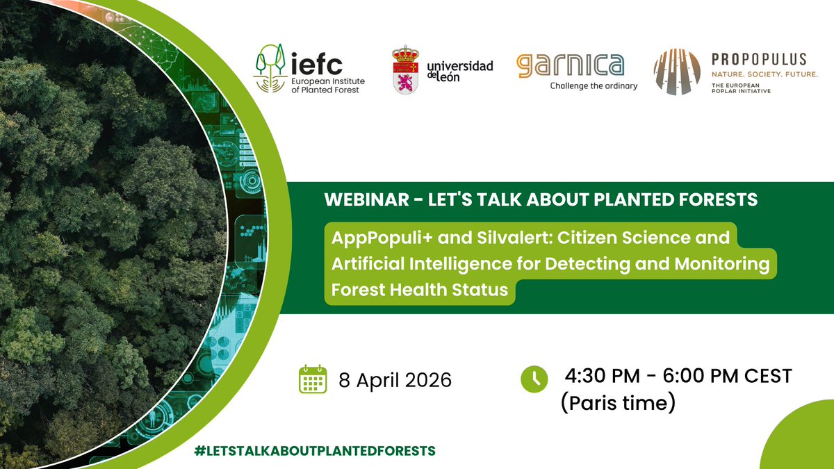 Propopulus_eu's tweet image. How can AI and citizen science improve poplar health monitoring? 🌳🤖

Discover AppPopuli+ and Silvalert 👇
 
propopulus.eu/en/artificial-…

#poplar #AI #forestry