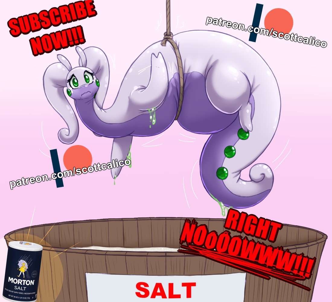 Scott Calico tweet media