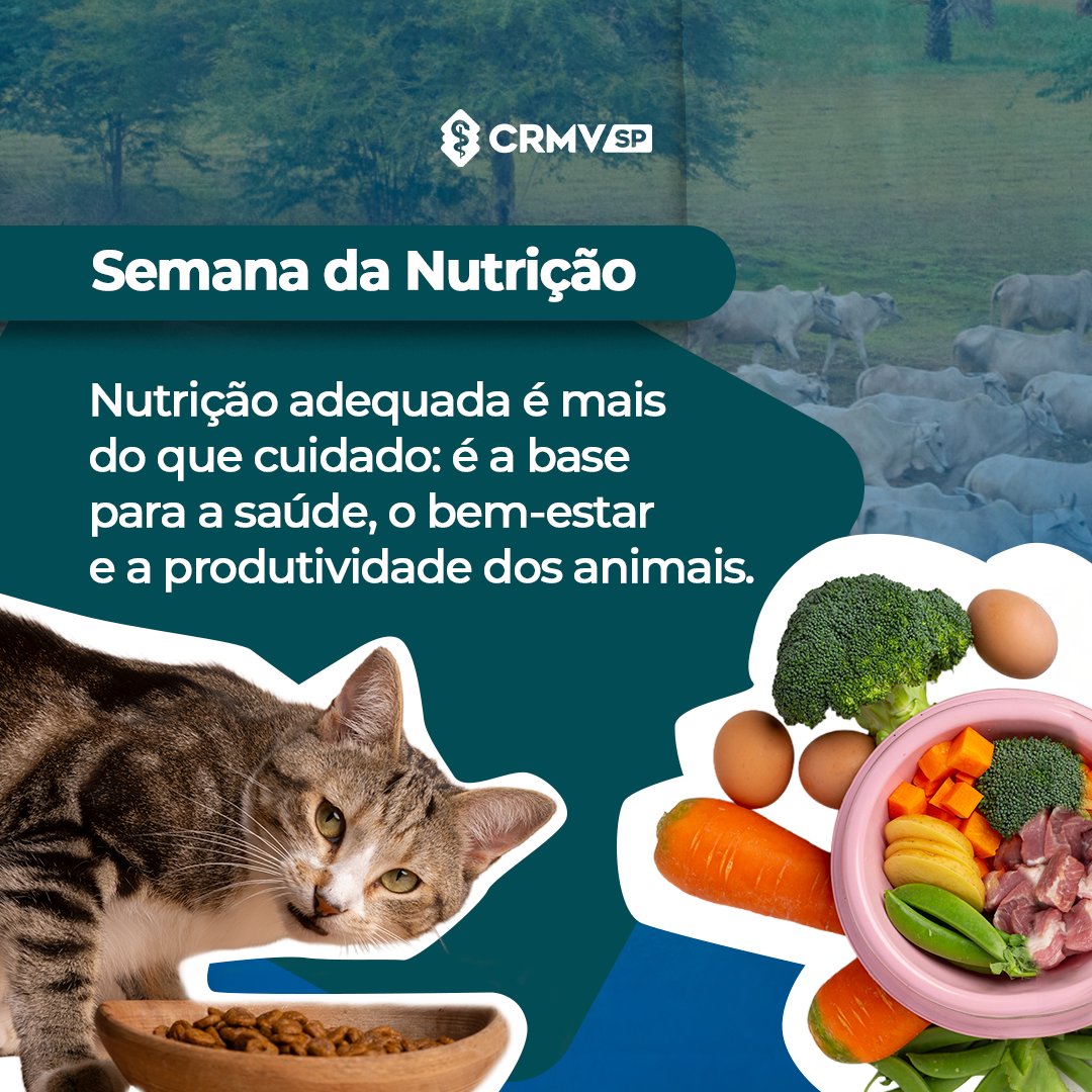 CRMV-SP tweet media