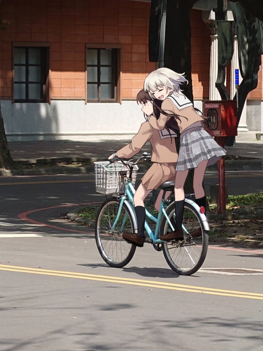 貓鬍鬚 tweet media