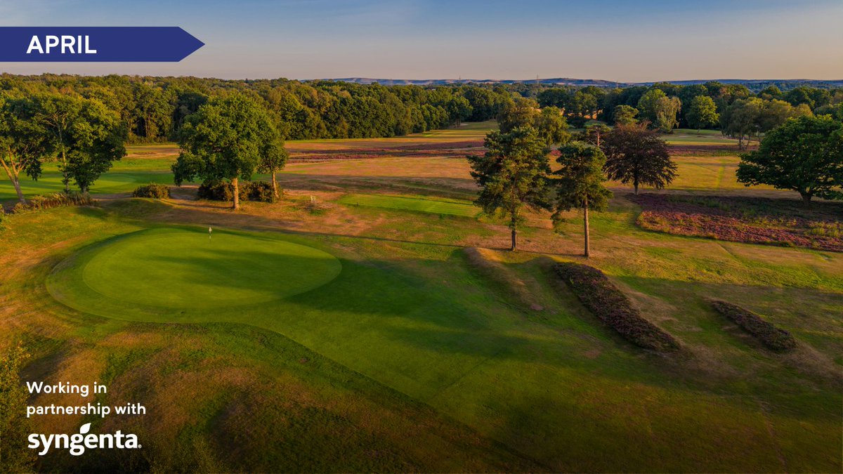 British & International Golf Greenkeepers Assn. tweet media