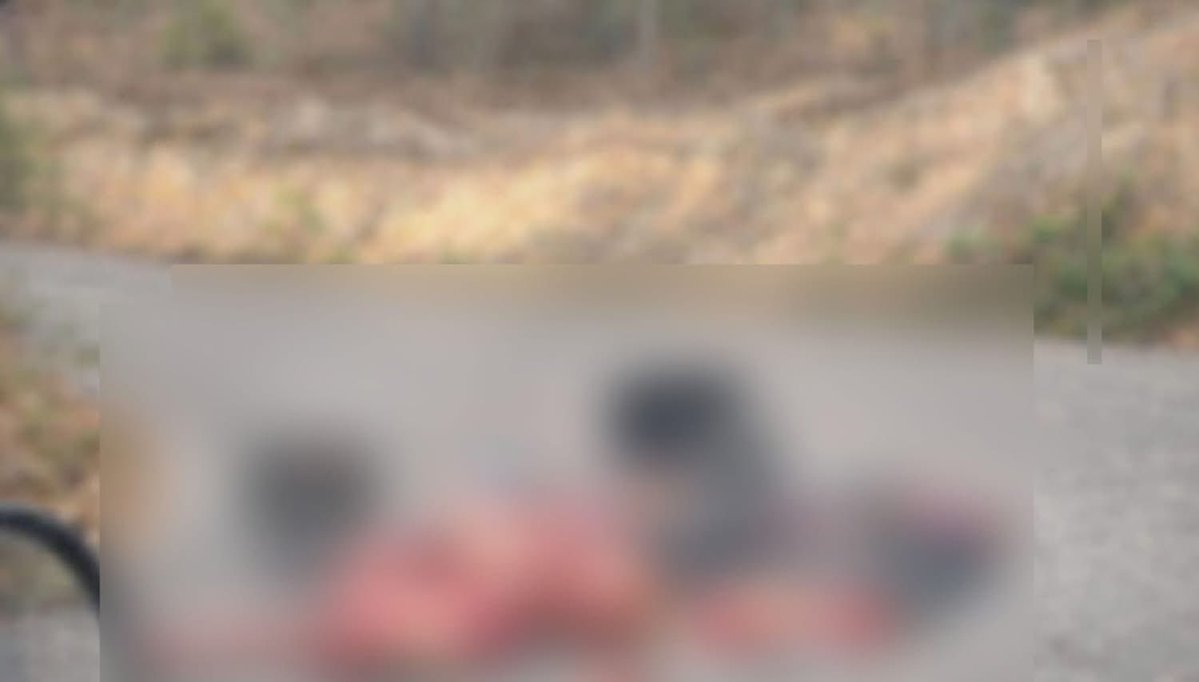 José Díaz tweet media