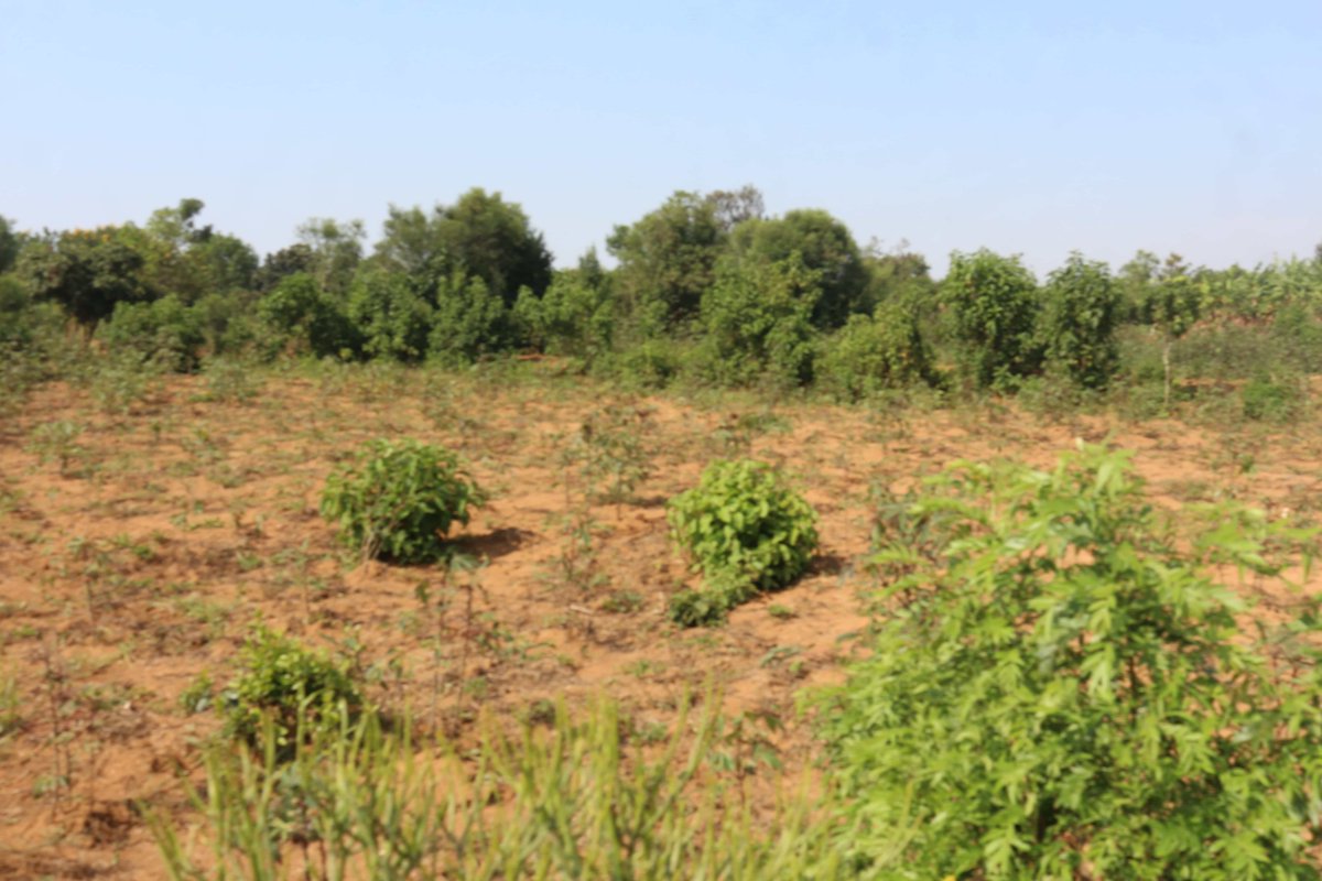 House in Rwanda tweet media