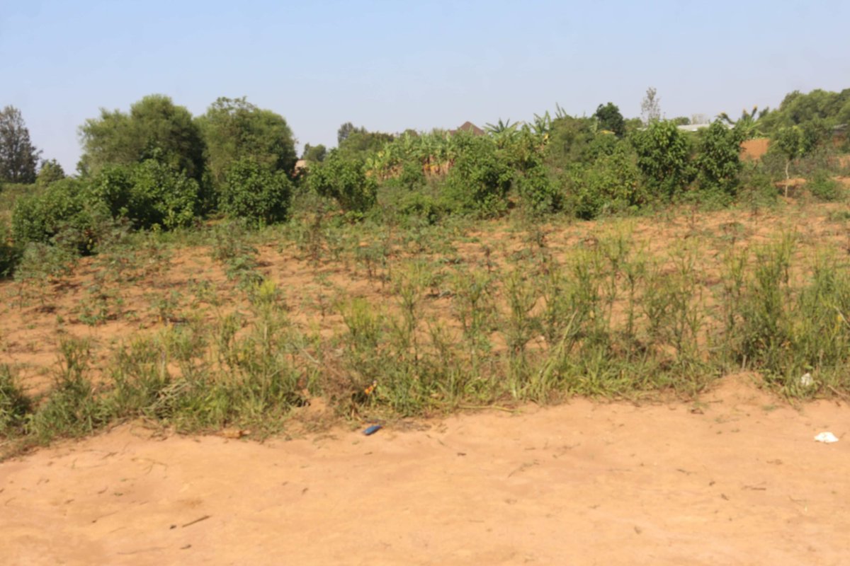 House in Rwanda tweet media