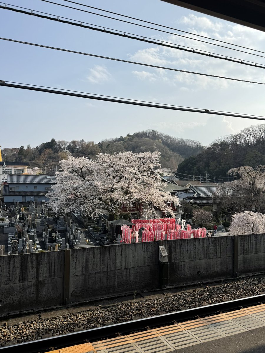 nagii7111's tweet image. 春