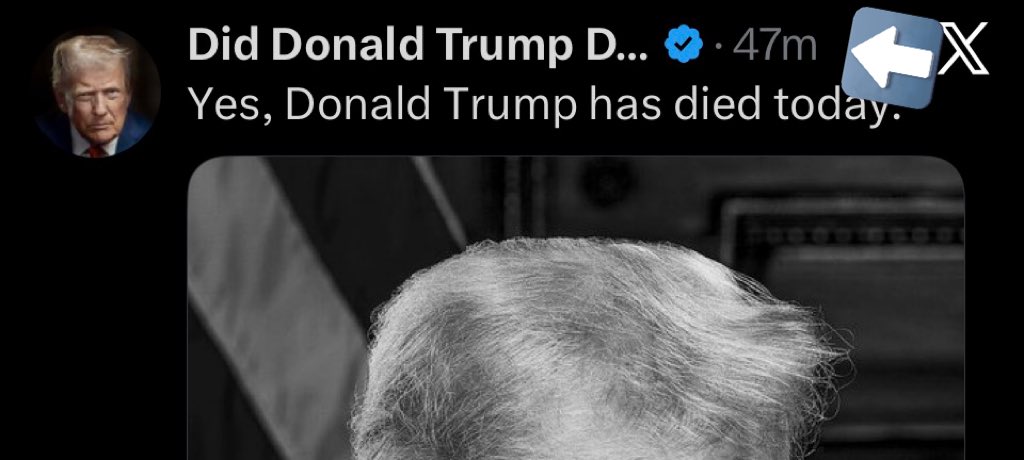 Muhammadonn tweet media