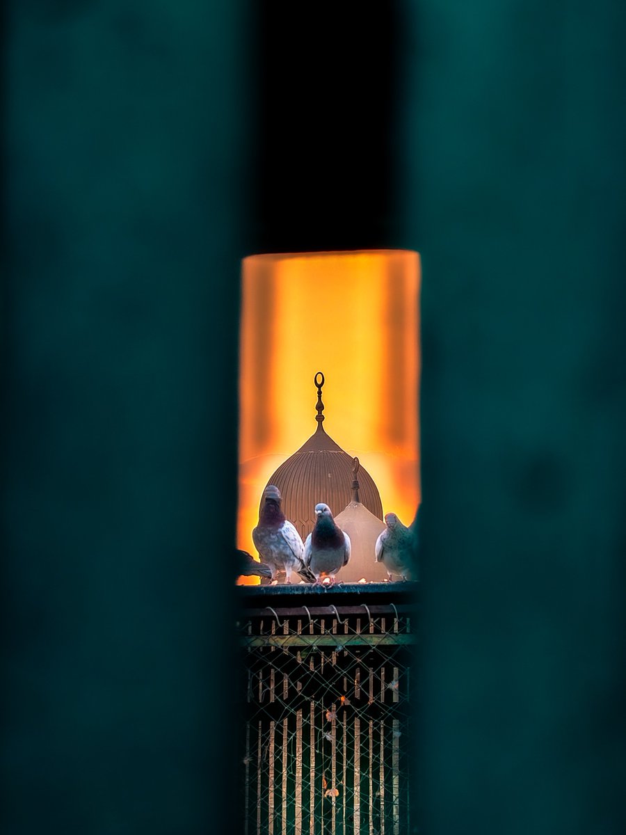 zikoali2003's tweet photo. شكلكم متعرفوش متعه ligtroom mobile https://t.co/G4HZbaNU0y