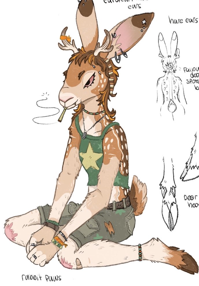 Atlantic Jackalope tweet media