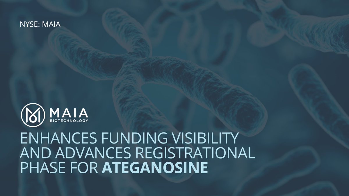 MAIABiotech's tweet photo. MAIA is advancing ateganosine, a potential first-in-class telomere-targeting agent. It is designed to disrupt telomeres in cancer cells and work in sequence with checkpoint inhibitors. 

Now in a Phase 3 NSCLC trial, with interim analyses ahead: https://t.co/l37WMOQCxI $MAIA https://t.co/94TAw11uRZ