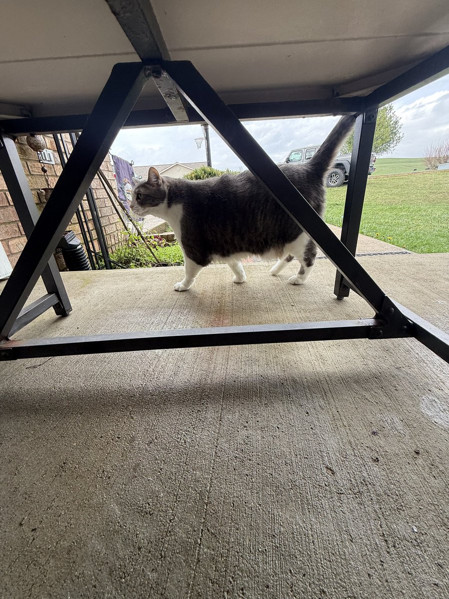 indietrucker tweet media