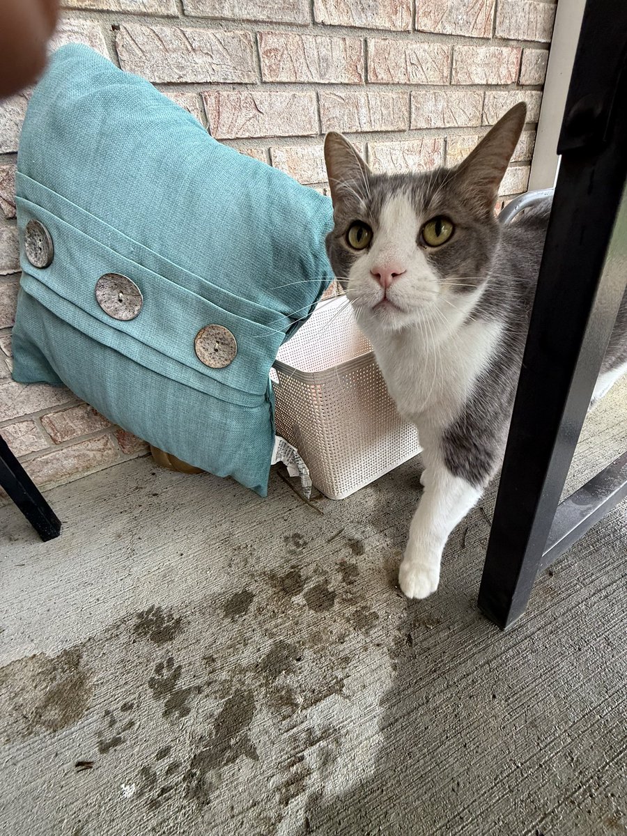 indietrucker tweet media