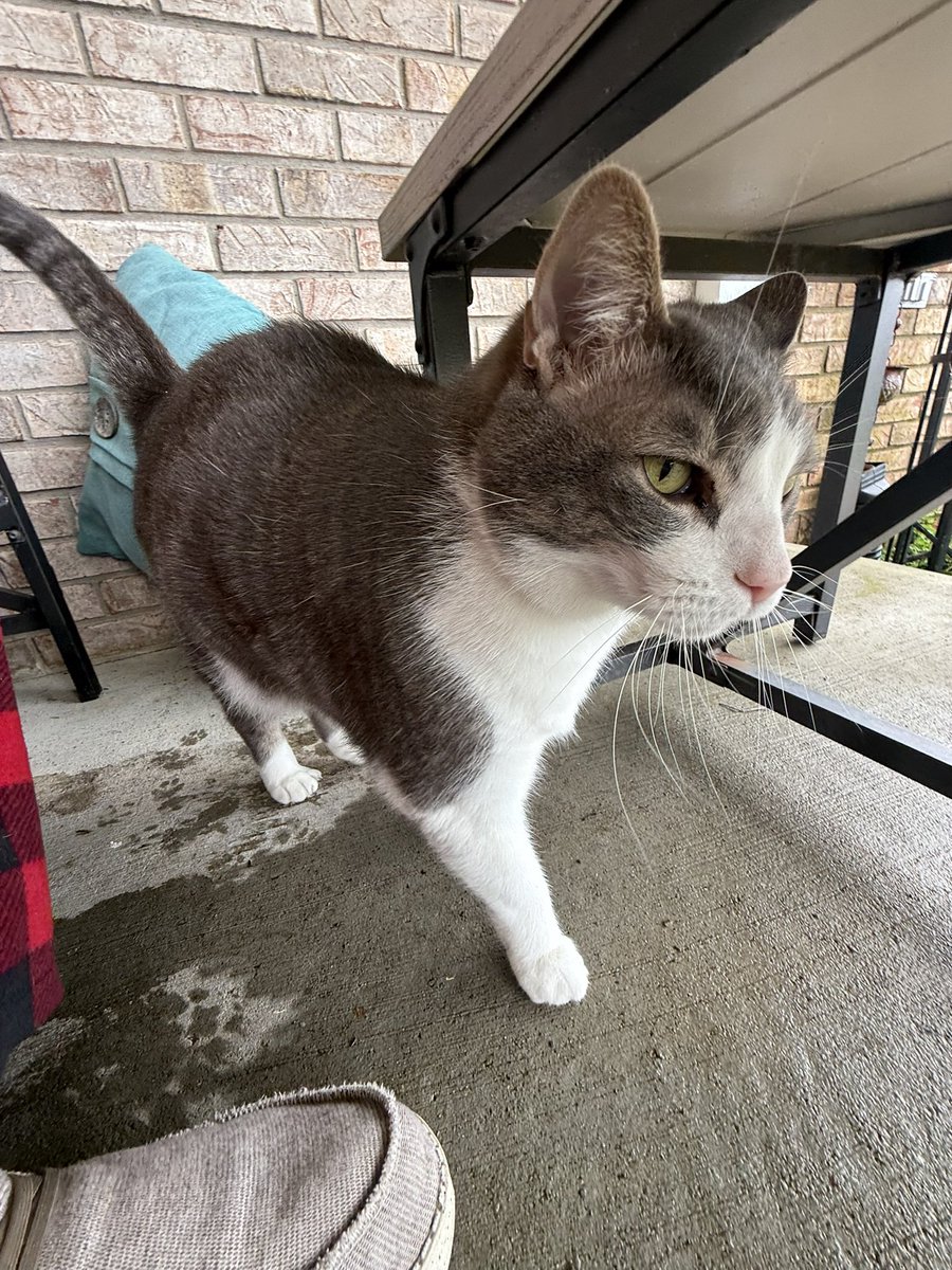 indietrucker tweet media