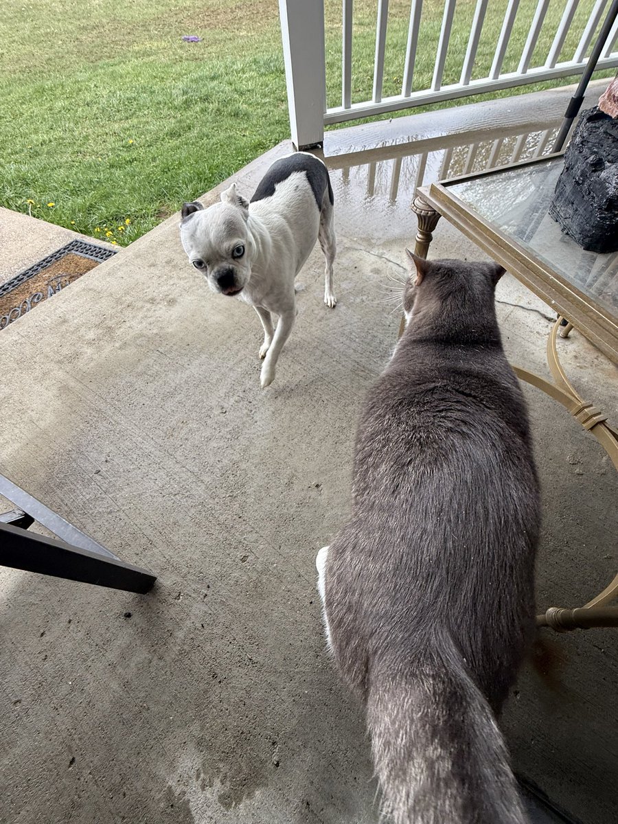 indietrucker tweet media