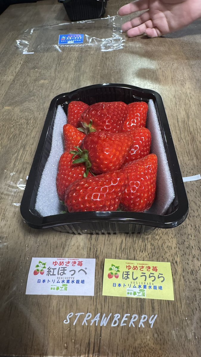 茸本 朗(たけもとあきら)　「野食ハンター茸本朗ch」公開中!! tweet media