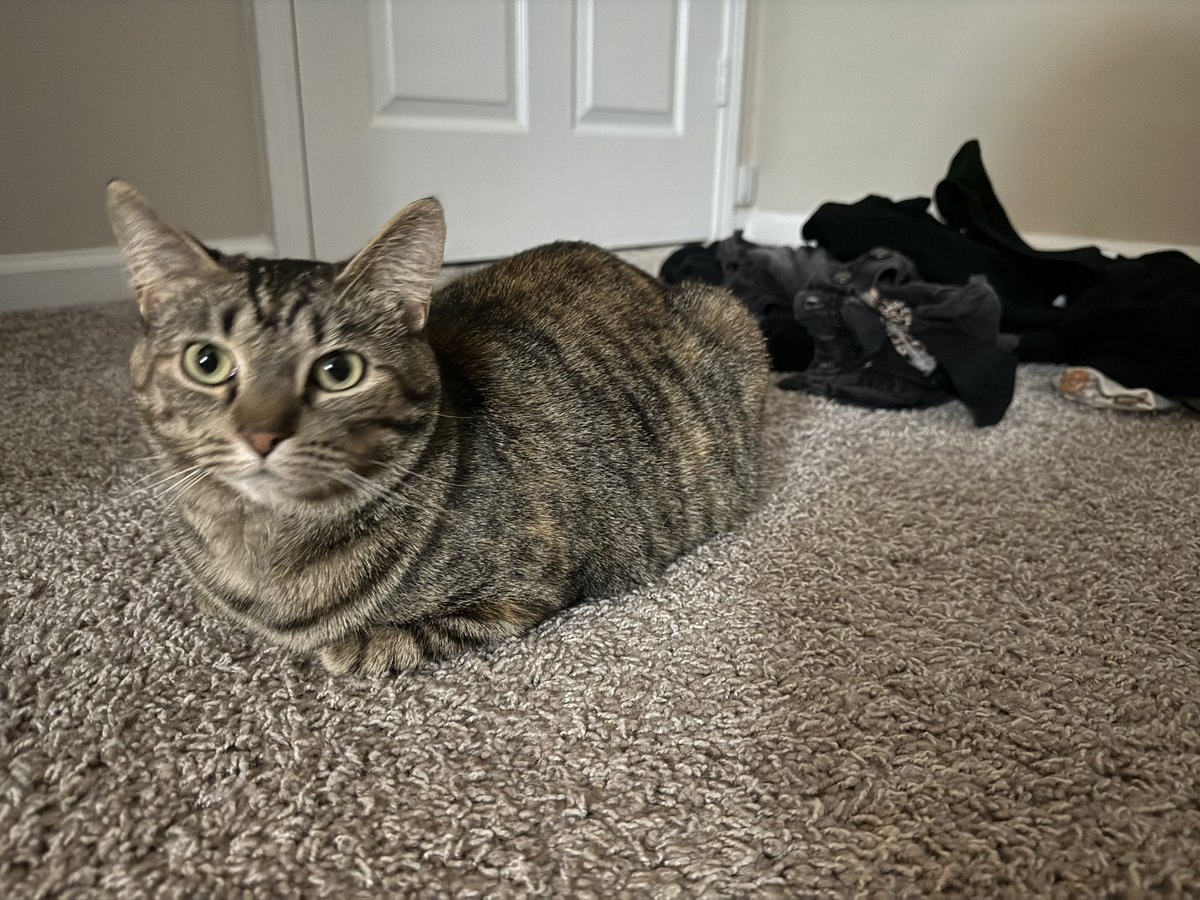 roni ᵕᴗᵕ tweet media