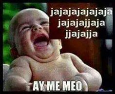 FlordeCogollo tweet media