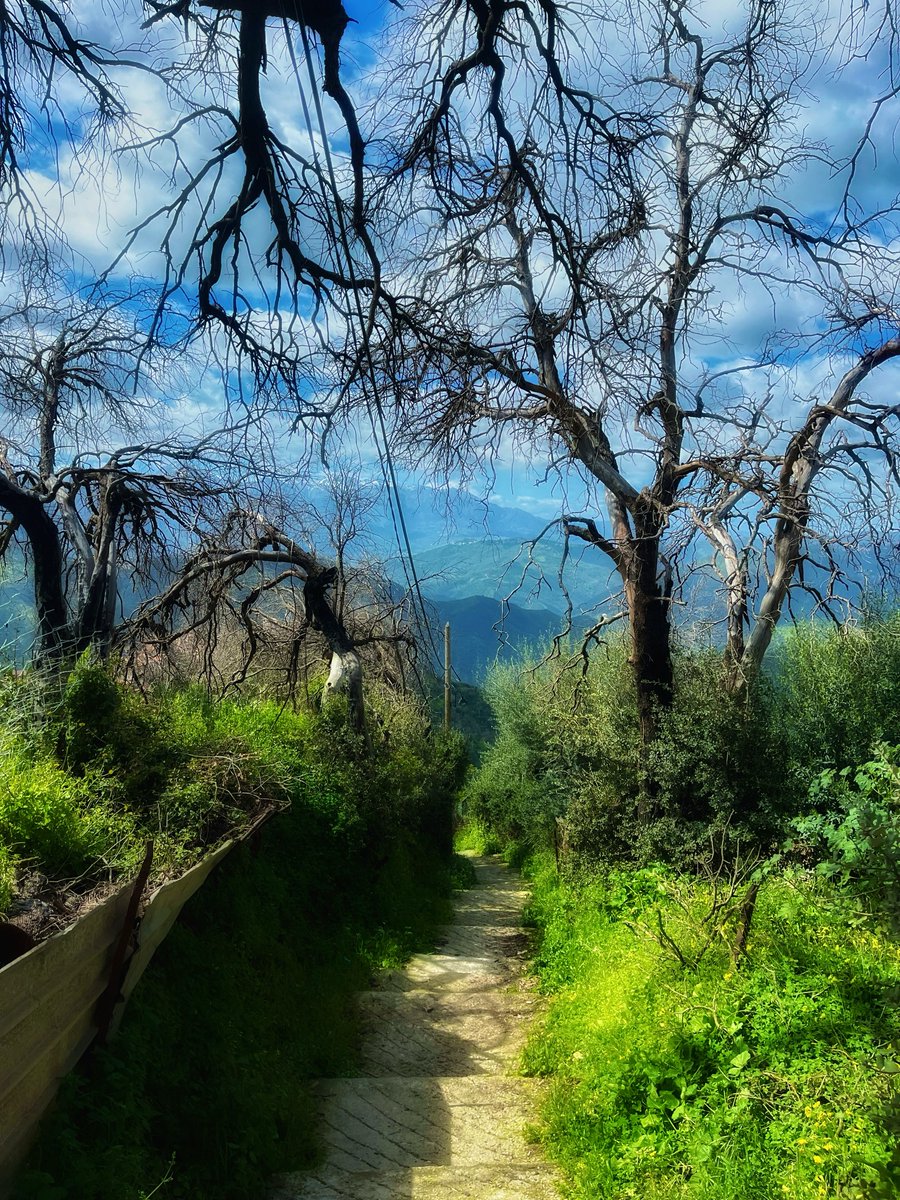 ℓιdуα tweet media