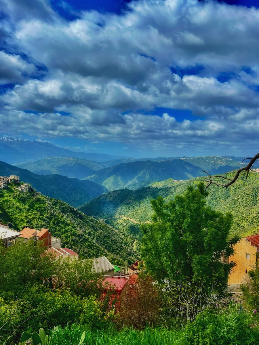 ℓιdуα tweet media