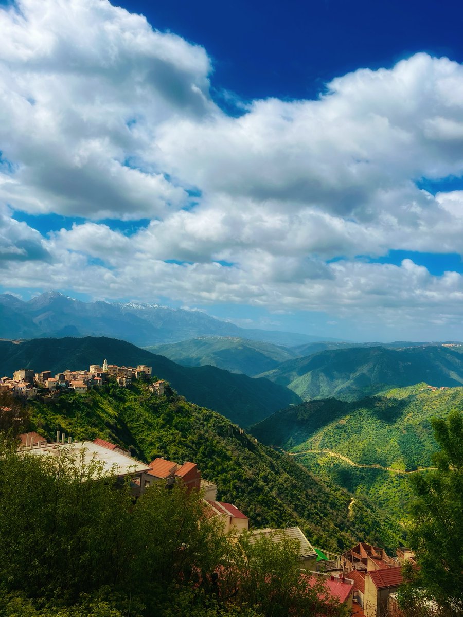 ℓιdуα tweet media