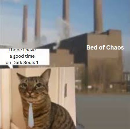 Kitsie 🐦‍⬛🗡 tweet media