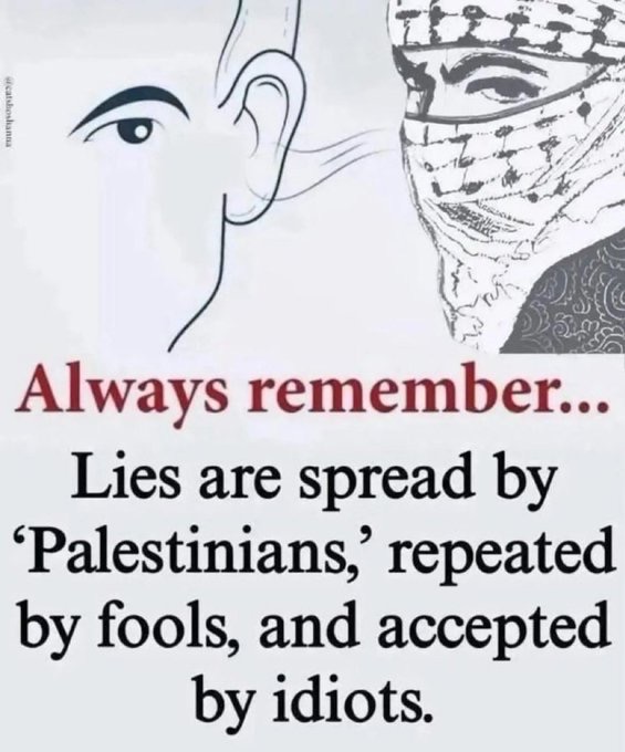 potnoodle tweet media