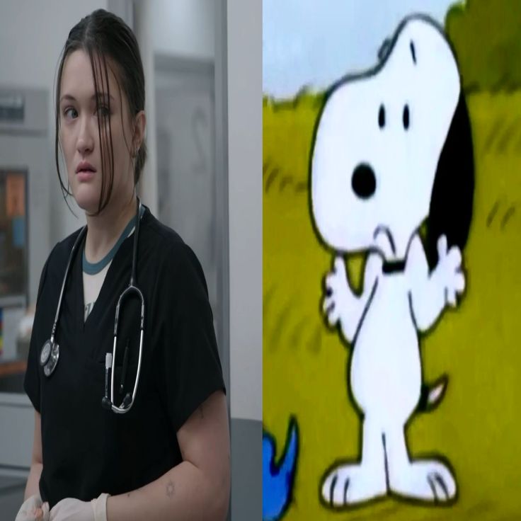 bisexual sailor punk rocker tweet media