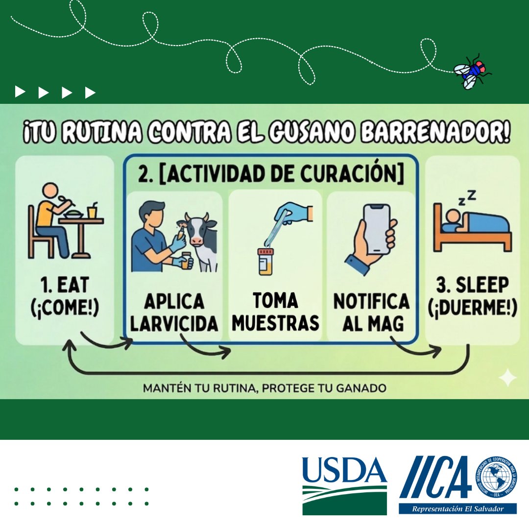 IICA - El Salvador tweet media