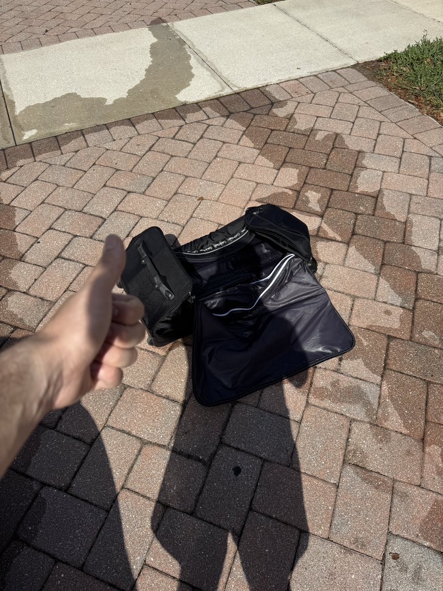 Sleepy K9 @ LOST IN THE USA ? tweet media