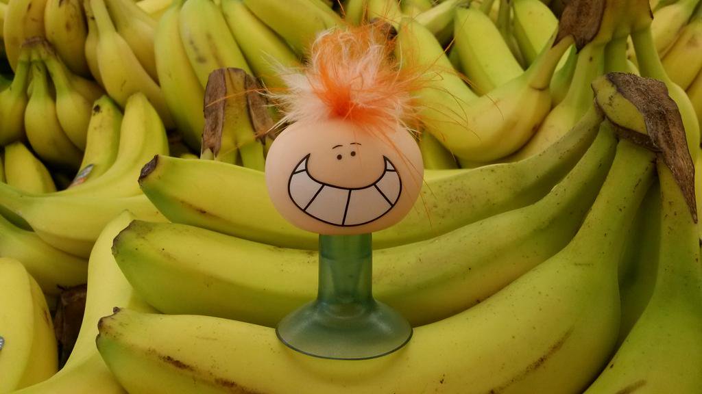 James Bertani tweet media