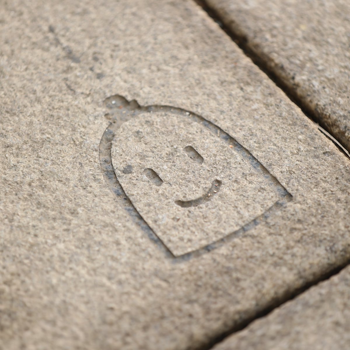 글라☪️🤍 tweet media