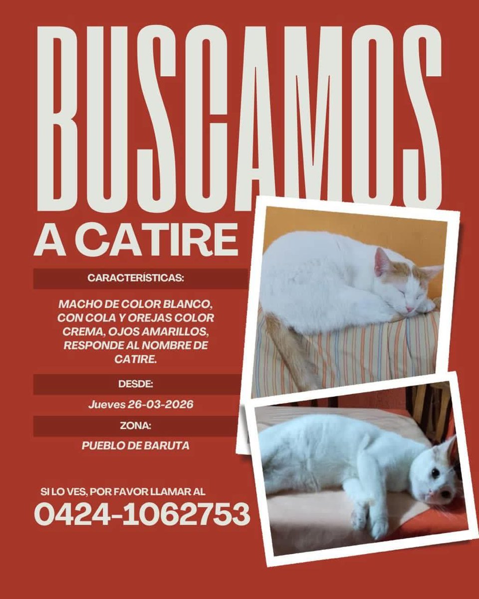 PerroUsuario Wof '•' tweet media