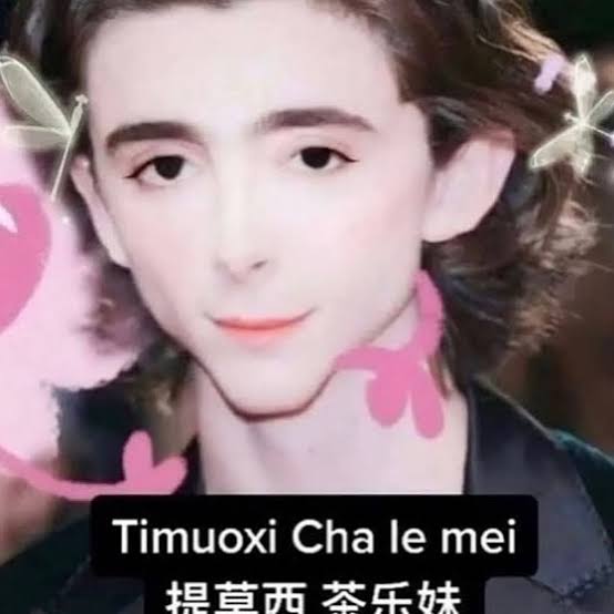 𝓐. 𝖘𝖍𝖎𝖓𝖔𝖉𝖆. tweet media