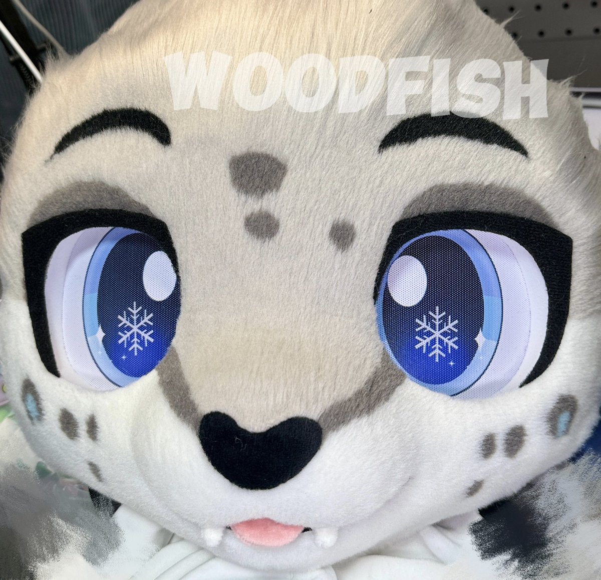 WOODFISH tweet media