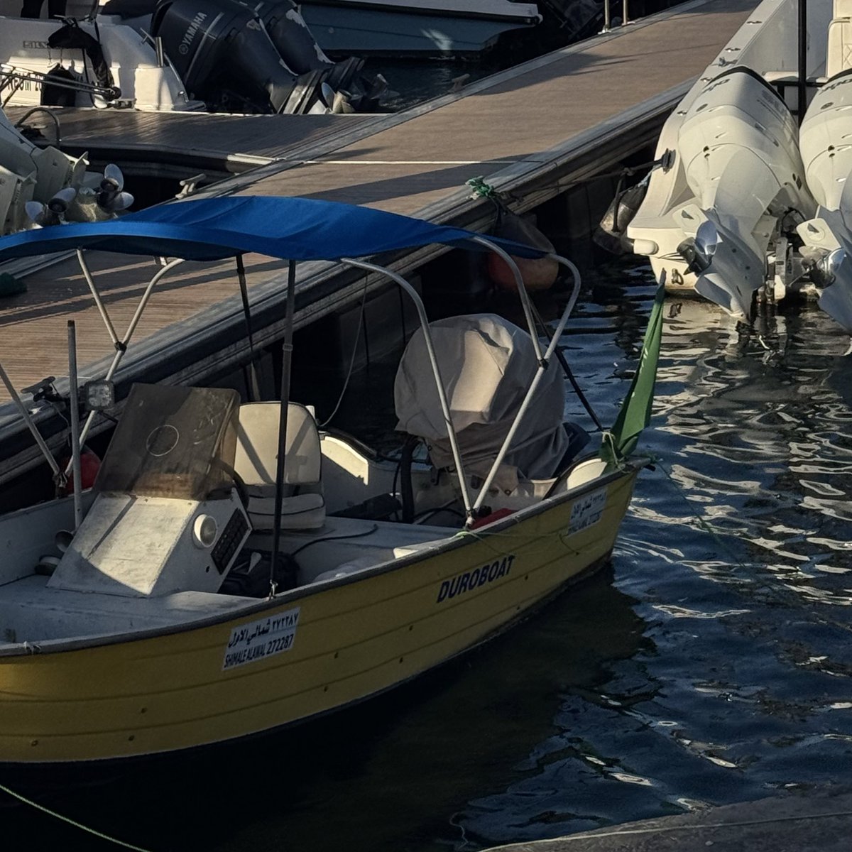 ديـم tweet media