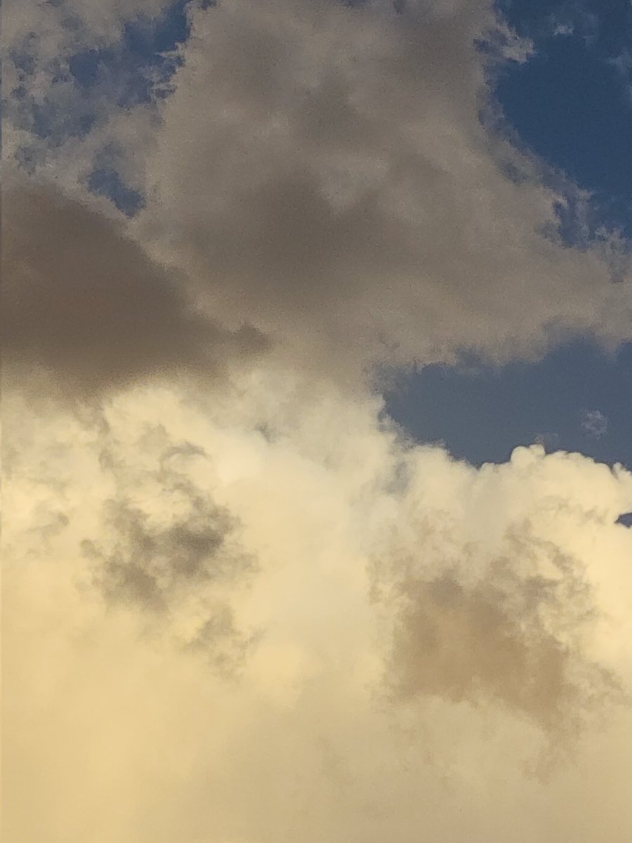 بُولِيآنثآ☁️🍃 tweet media