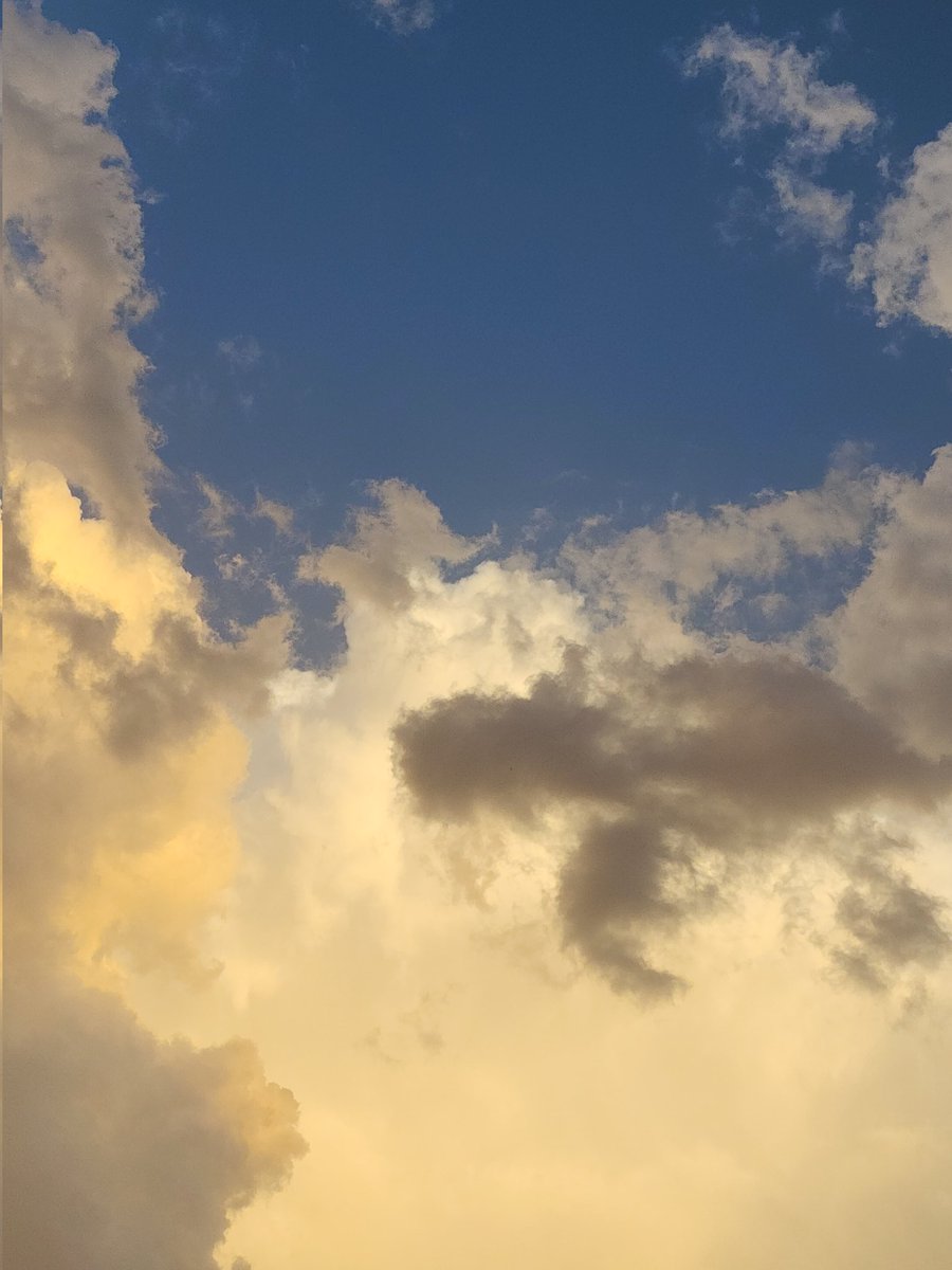 بُولِيآنثآ☁️🍃 tweet media