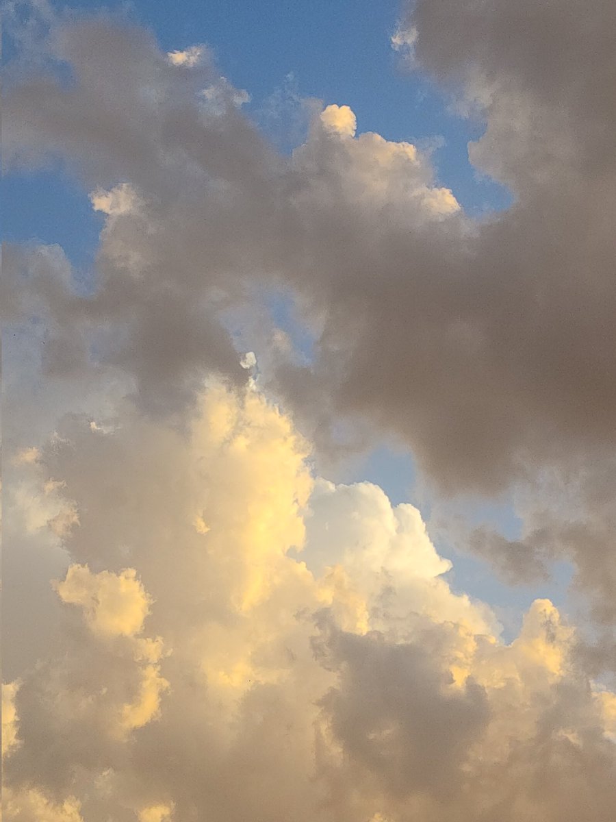 بُولِيآنثآ☁️🍃 tweet media