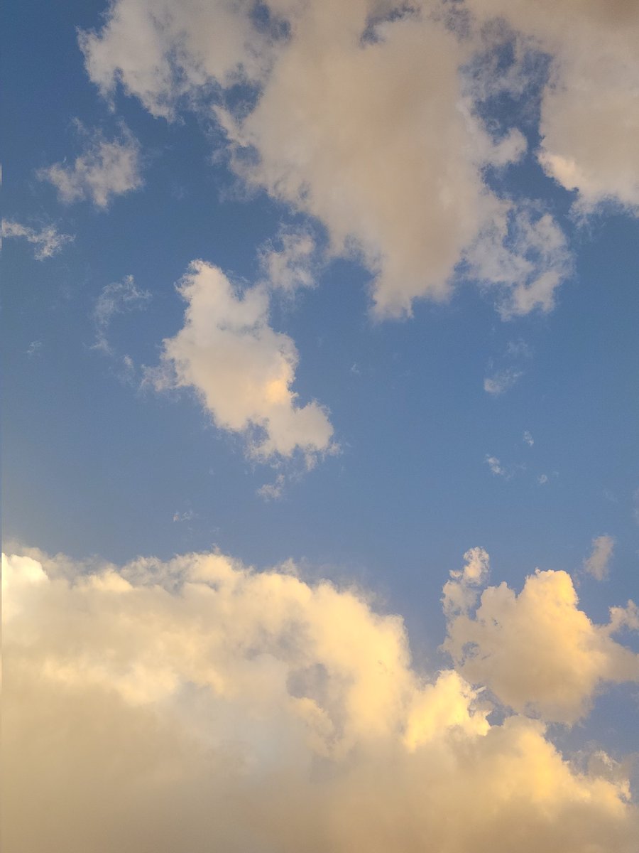 بُولِيآنثآ☁️🍃 tweet media