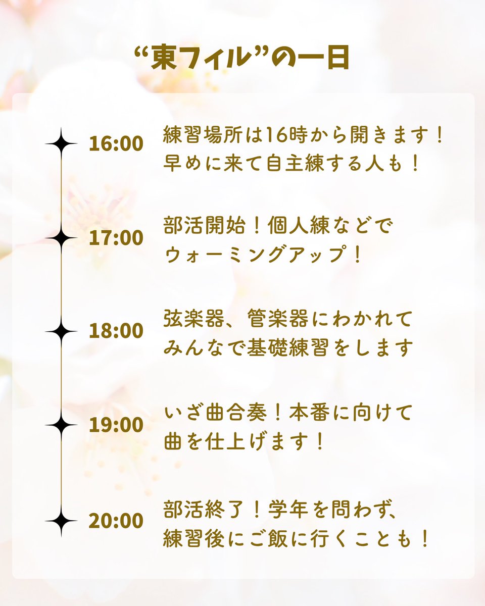 tohophil's tweet photo. 新入生の皆さん必見！📢
東フィルの基本情報と、練習がある日のタイムスケジュールを大公開します✨
これをみて普段の活動をイメージしてみてください👀 https://t.co/4Y7bBYee0m
