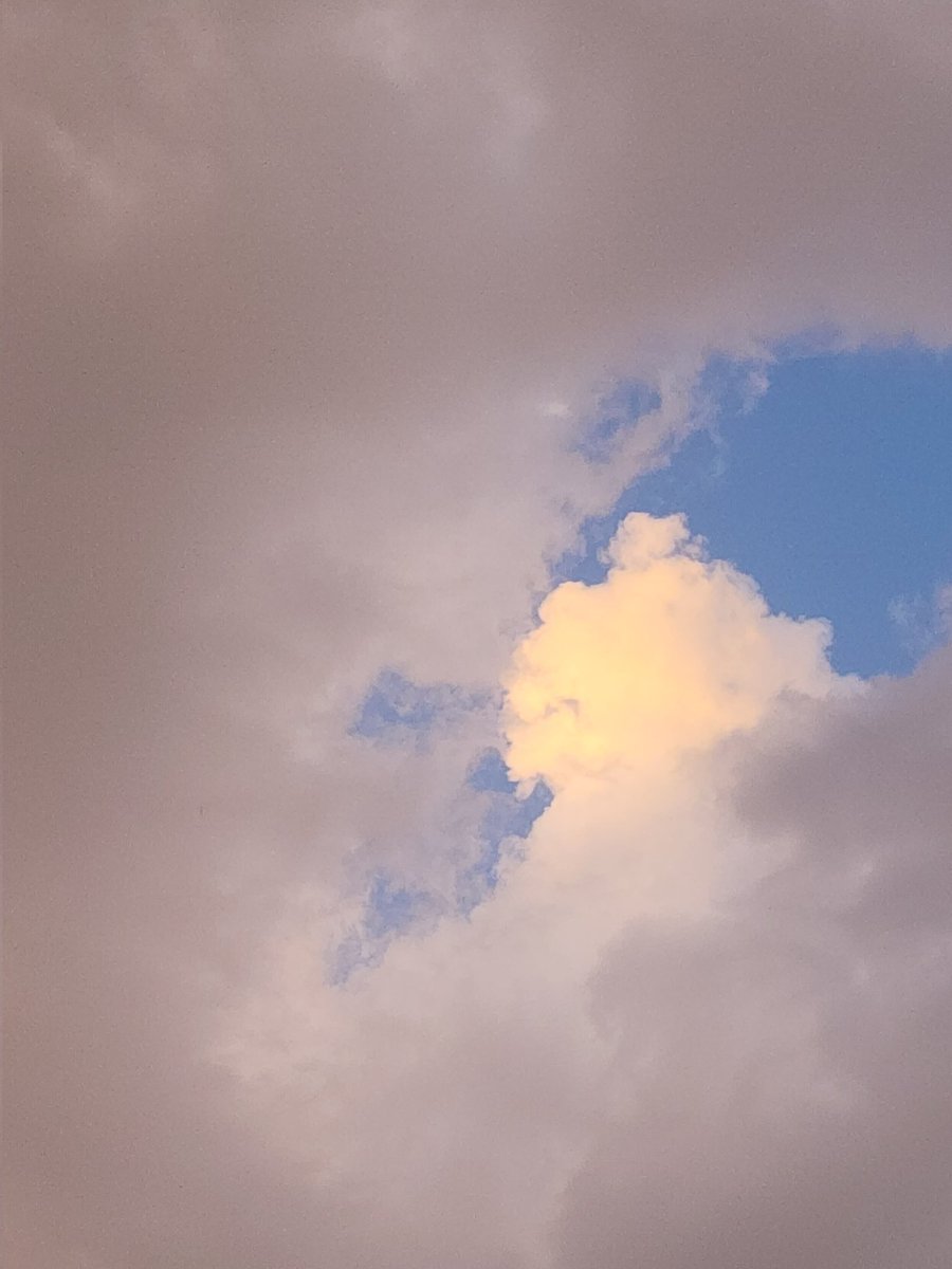 بُولِيآنثآ☁️🍃 tweet media