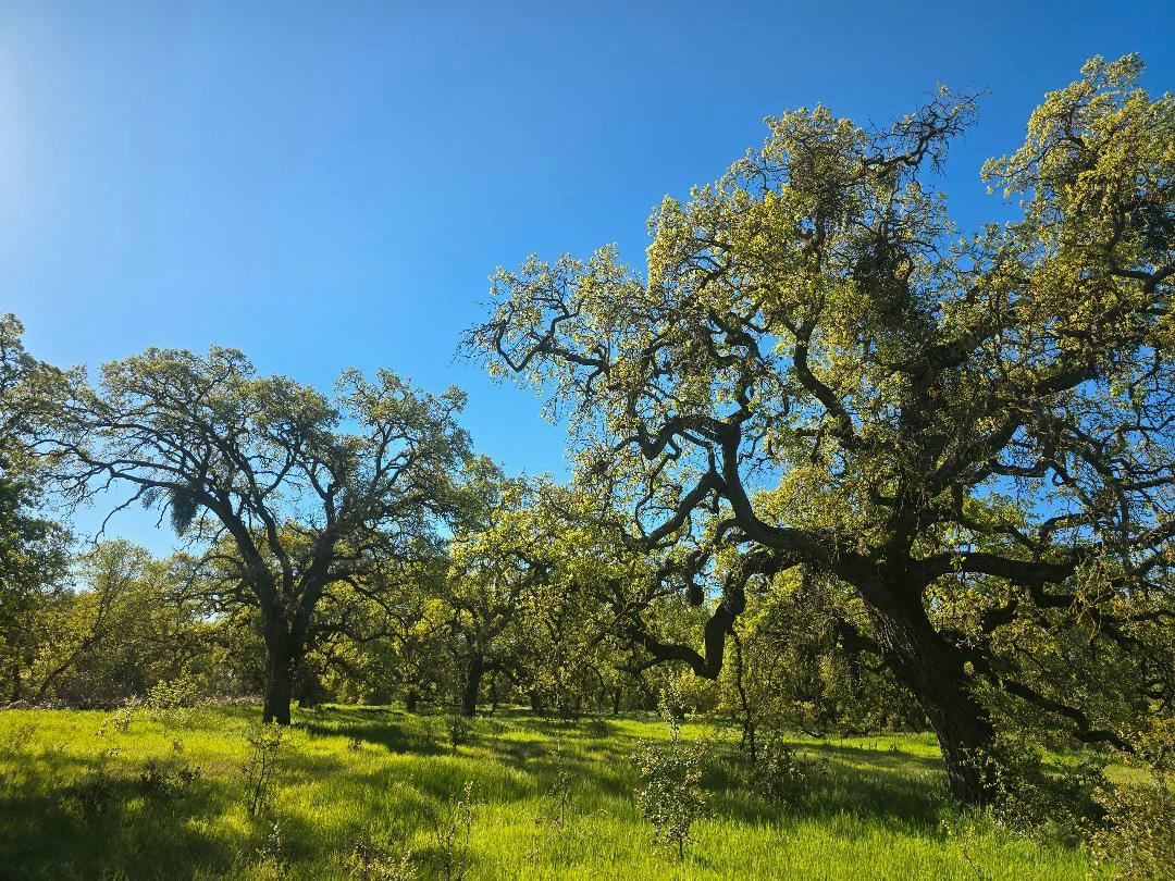 rough_n_ready tweet media