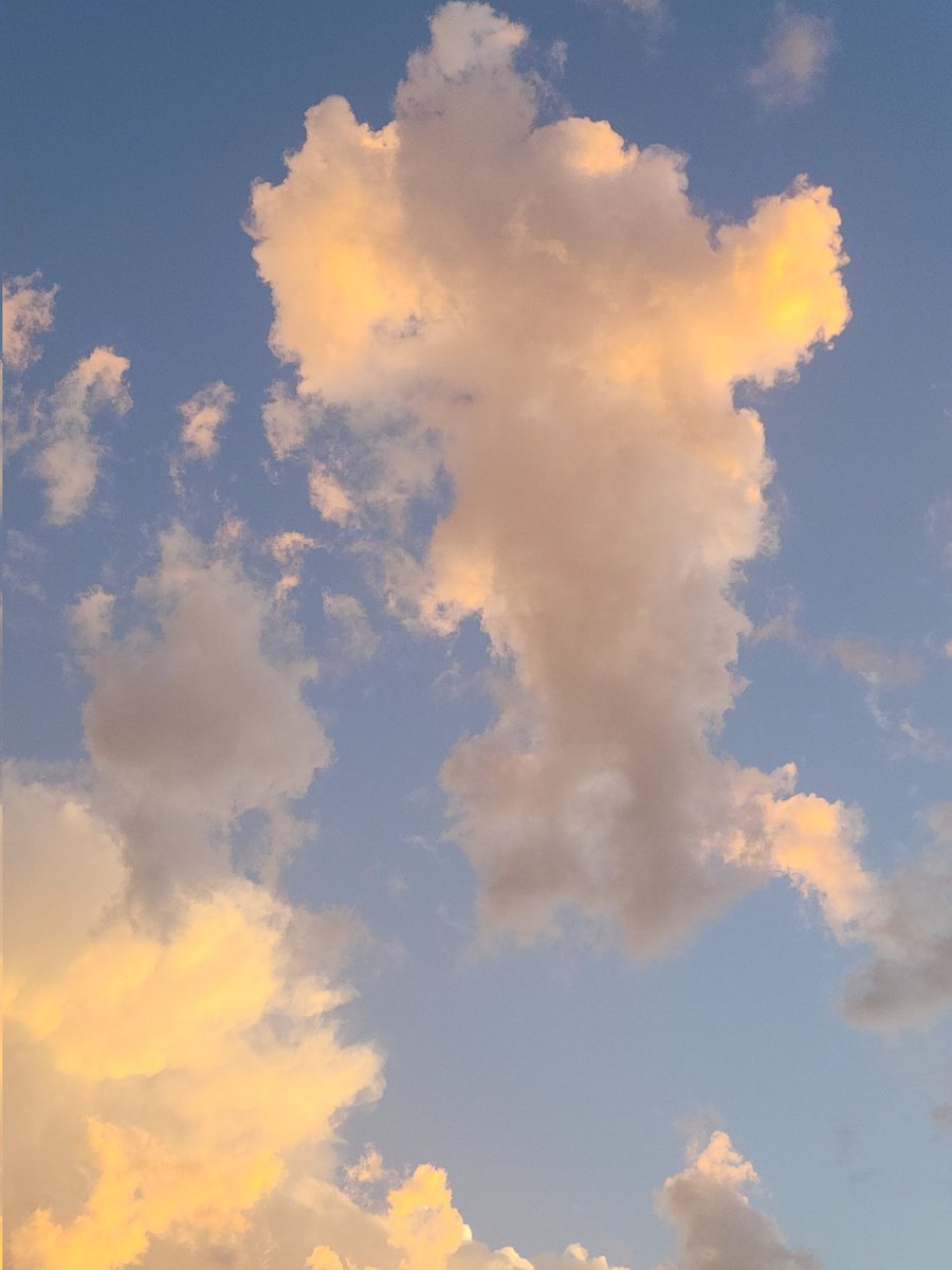 بُولِيآنثآ☁️🍃 tweet media