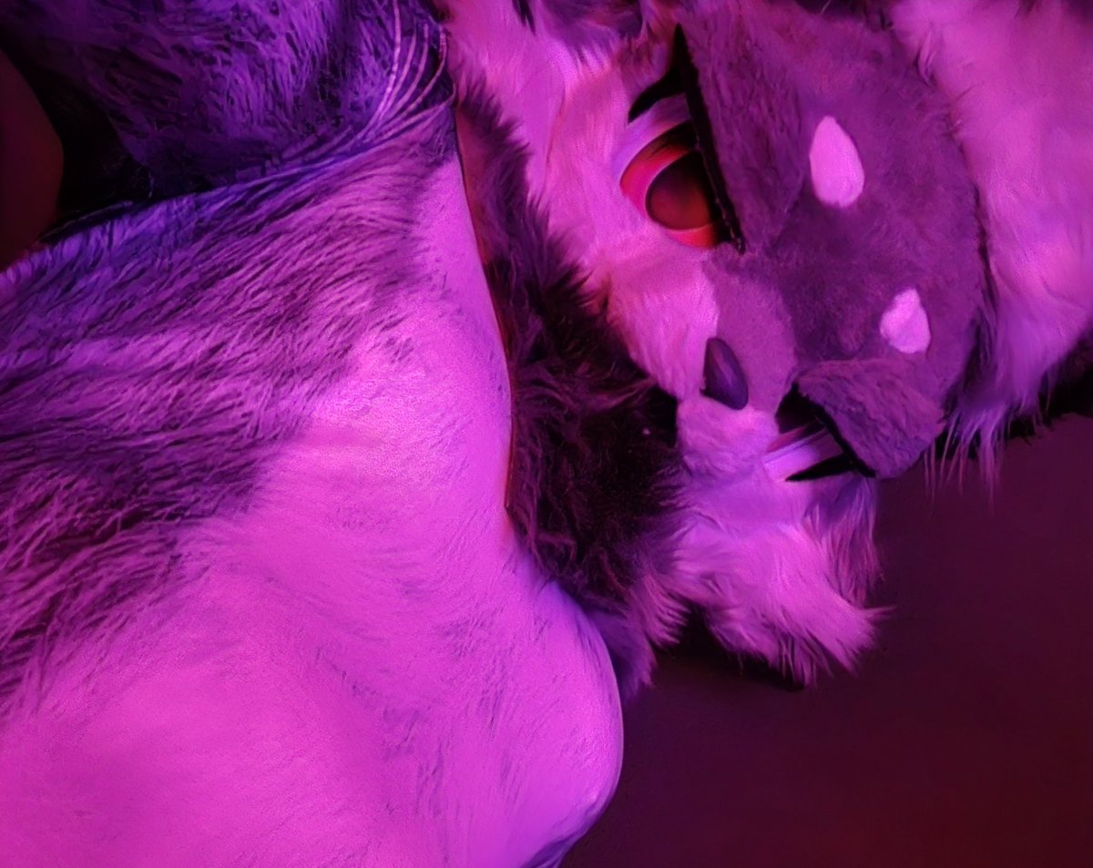 driuuz | Ibercon 🇪🇸 , FZ 🇮🇹 🔜 tweet media