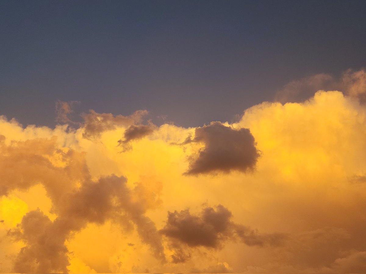 بُولِيآنثآ☁️🍃 tweet media