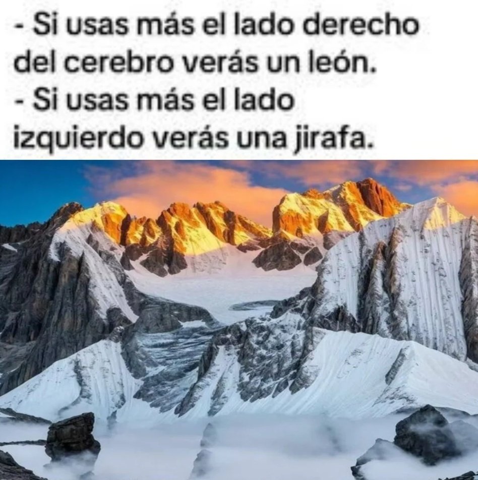 MOMAZOS KESSOKU tweet media